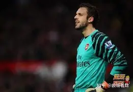 上海申花特谢拉最新消息